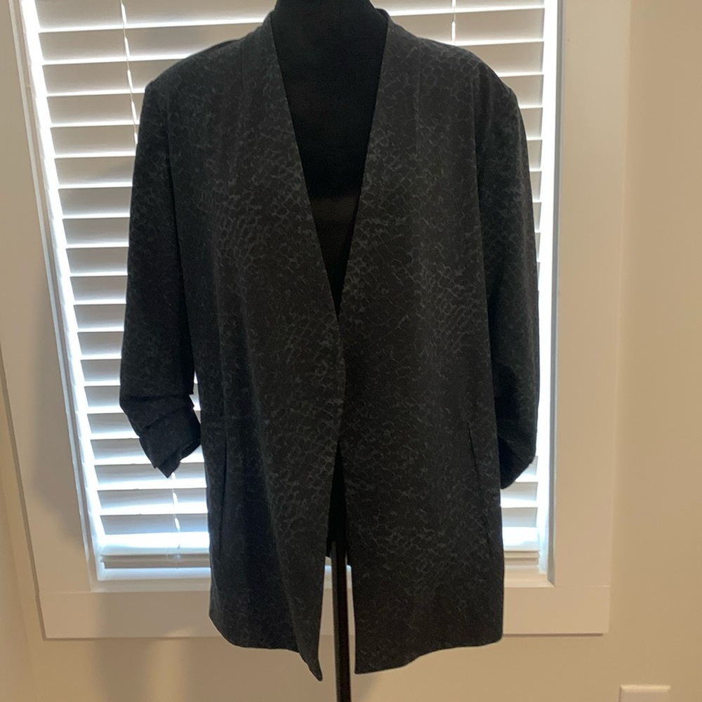 The Limited The Lexie blazer